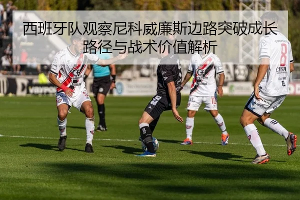 西班牙队观察尼科威廉斯边路突破成长路径与战术价值解析